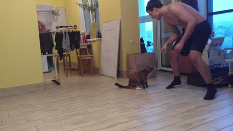 Imitation of the battle with a cat
