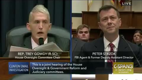 Trey Gowdy DESTROYS Disgraced Anti-Trump FBI Agent Peter Strzok