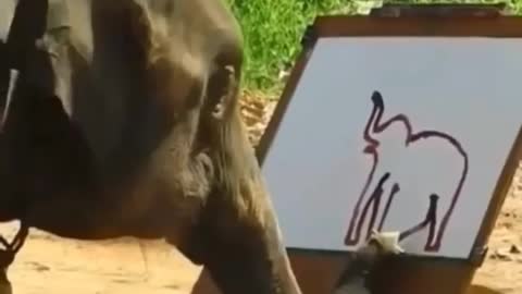 Elephant 🐘 Drawing elephant Amazing Art 🎨 Video