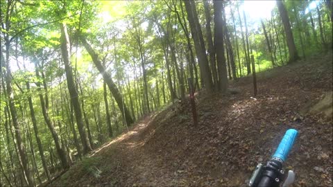 Corps Tour Trail into Knights Labor Trail at Baileys Trail System, Wayne National Forest