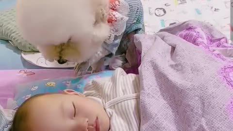 Unbreakable Bonds Heartwarming Video of a Cute Dog Caring for an Adorable Baby