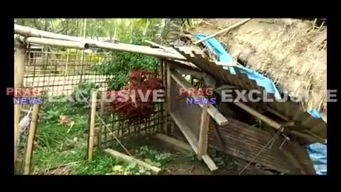 ELEPHANT ATTACK IN GUWAHATI [SiGator]