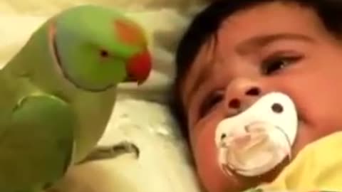 A baby and a parrot