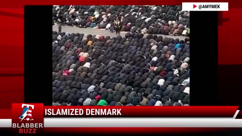 Islamized Denmark