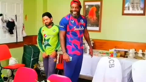 Cricket Cricket fans-video cricket lovers-video #cricket #cricketlover