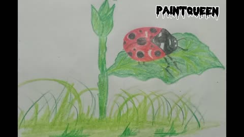 How to draw easy ladybug|Ladybug drawing|Ladybug drawing in colour pencils|Easy drawing for kids