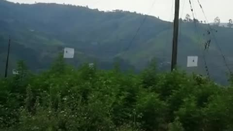 Campesinos de Cauca denunciaron que están atrapados en medio de combates entre Ejército y Eln