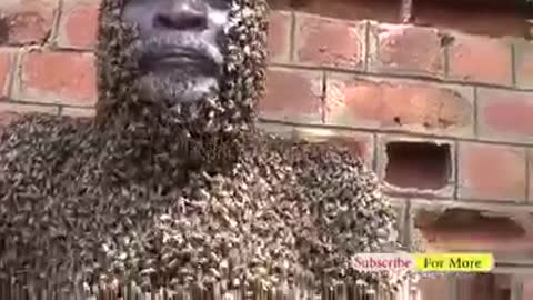 Bee man in town