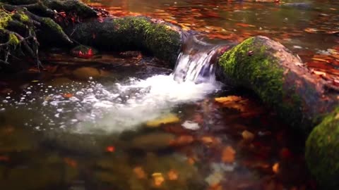 Relaxing sounds of the water of a small river. The sound of flowing water