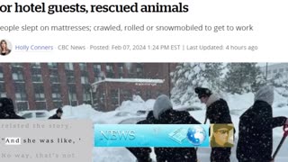 Cape Bretoners spend storm at workplaces to care for hotel guests, rescued animals