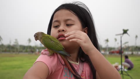 A girl holding a parrot in the green park