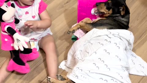 Dog Enjoys Toy Bed While Kiddos Shows Her Toys