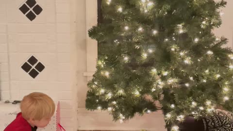 Christmas Tree Lights Adorably Dazzle