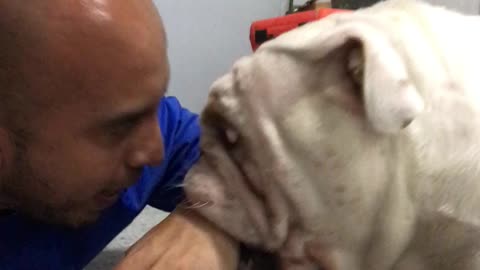 Bulldog "viciously" attacks owner