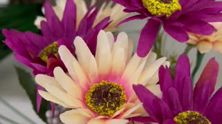 Beautiful bouquet of flowers