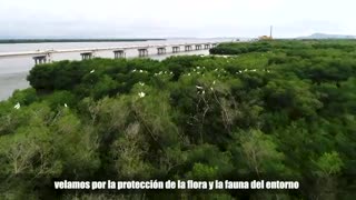 Viaducto Gran Manglar será inaugurado este 28 de julio