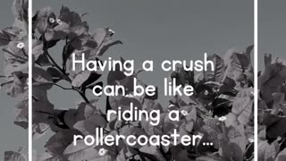 Having a crush can be like riding a rollercoaster...