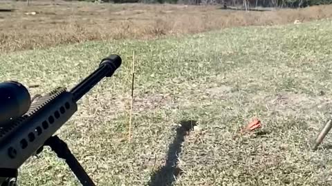 50 Bmg vs Weenie