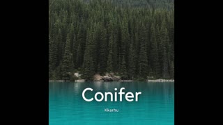 Confier - KKarhu