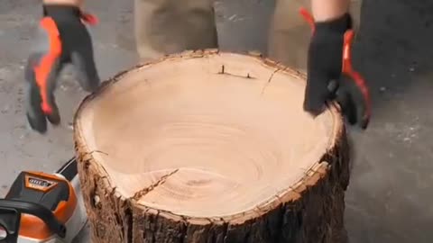 A BEAUTIFUL SINK CARVED OUT OF A TREE STUMP