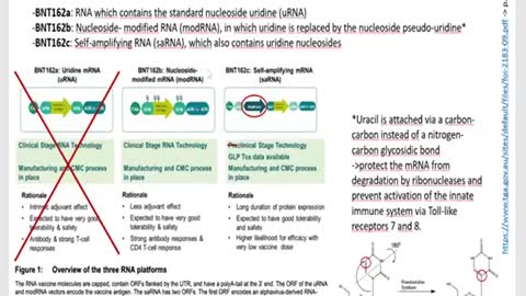 Self amplifying mRNA "vaccine"