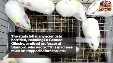 Chinese lab-made coronavirus GX_P2V, with 100% kill streak in ‘humanized’ mice