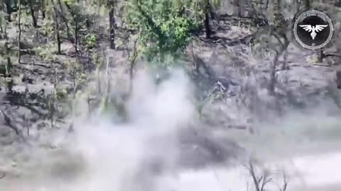 A Ukrainian FPV pilot attacks another Chinese Desertcross 1000-3 on the way to the frontline