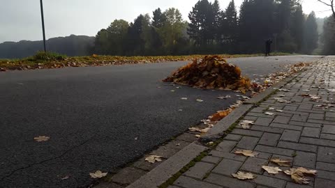 Longboard autumn leaves powerslide