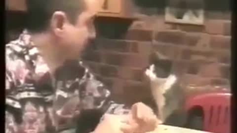 deaf man's cat realized that meowing was useless, he learned to communicate with him through signs
