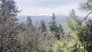 Emerging From the Forest to the Alpine Section of Black Butte Trail – Central Oregon – 4K