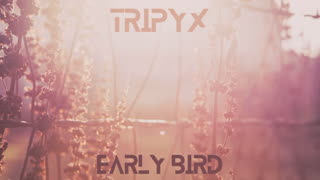 TRIPYX - Early Bird