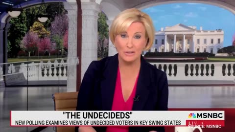 WATCH: Woke MSNBC Host STUNNED As Undecided Voters Tell Her They Will All Vote For Trump