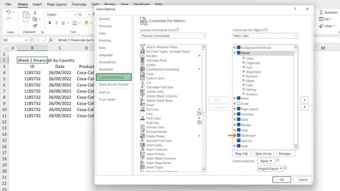 Learn Excel MACROS in 10 Minutes Using Real World Examples