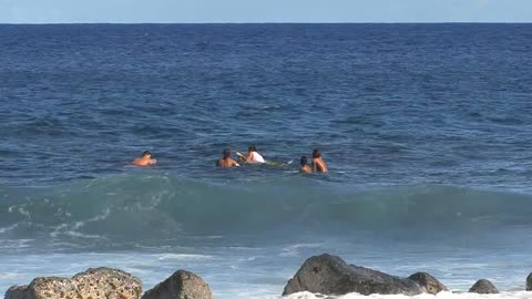 A Hawaii Rocks on waves with surfers