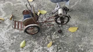 Parrot Pedals Tiny Bicycle