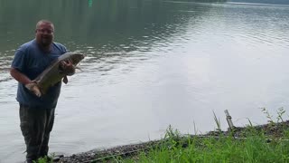 Amazing Monster Carp!!!!!! Pa River Carp Fishing