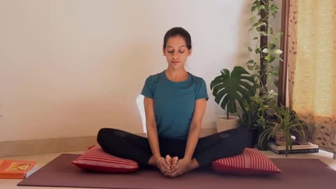 Basic YOGA ASANAS for GOOD HEALTH - for Beginners and all Age Groups | Beginners Yoga at Home