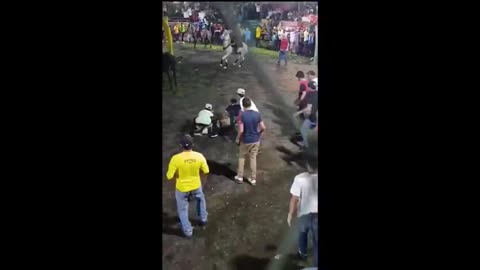 BEANER KILLED BY A BULL WITH A FATAL BLOW