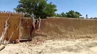 Pakistan flood victims shelter in tent city