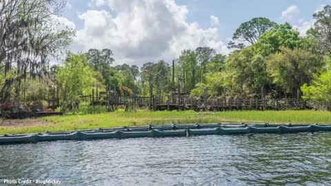 Abandoned - Disney’s River Country