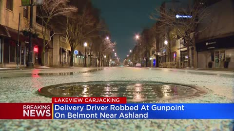 Delivery driver robbed, carjacked in Lakeview