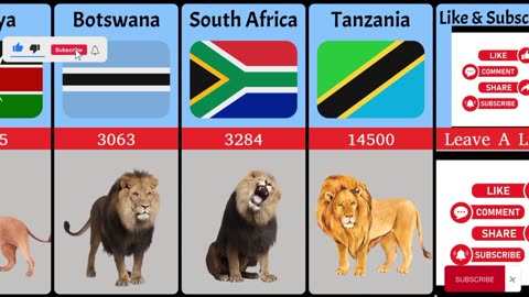 Population Of Lions In Different Countries | Lion population by Country
