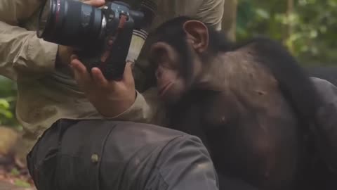 Photographer & Monkey 🐒! Heart touching ♥️ #animal #monkey #photography #heart touching