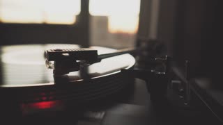 Chill Music and Vibes for Relaxing or Studying
