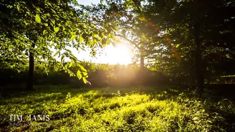 Beautiful Instrumental Hymns