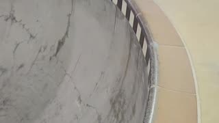 Skateboard bail