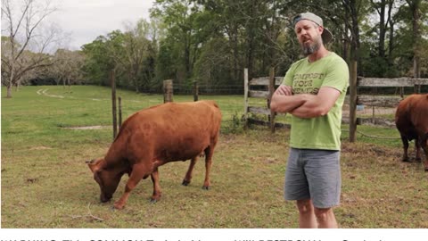 Toxins in Hay, Straw, and Manure May Destroy Garden and Health!