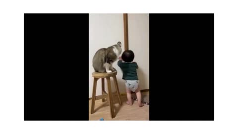 10 Minutes Of Funny CATS 🤣 Funny cats 😘 Cute Cats all animal love ❤