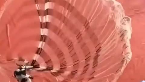 Satisfying Fish Net Throw - Oddly Satisfying