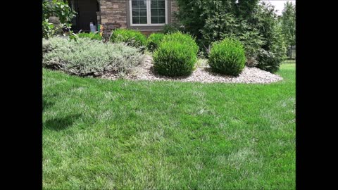 Like Magic Lawn Landscaping LLC - (913) 398-3211